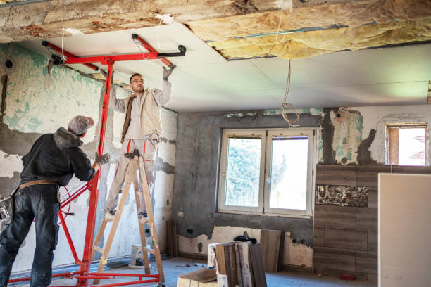 Best Insulation Air Sealing  in Princevle, IL